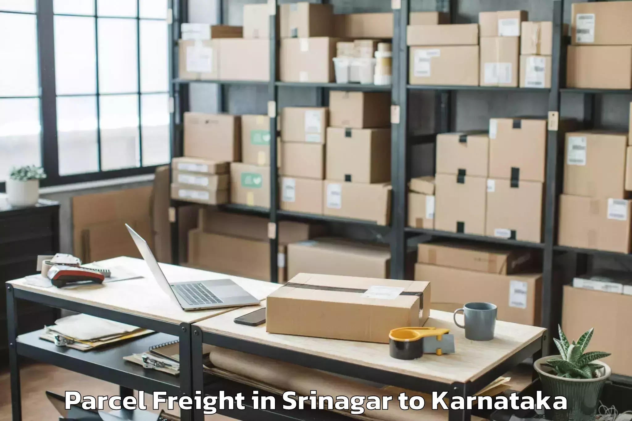 Comprehensive Srinagar to Reva University Bangalore Parcel Freight